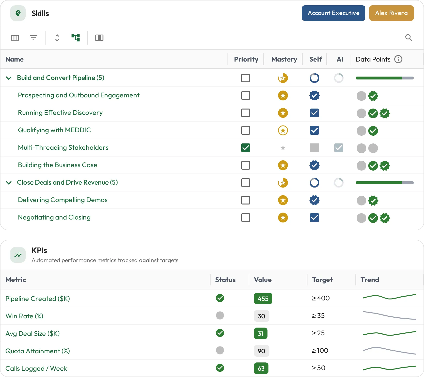 Account Executive skills with mastery levels and the role's KPIs shown below